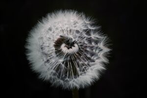 GLP-1アプリと連携して効果的に管理する方法は？